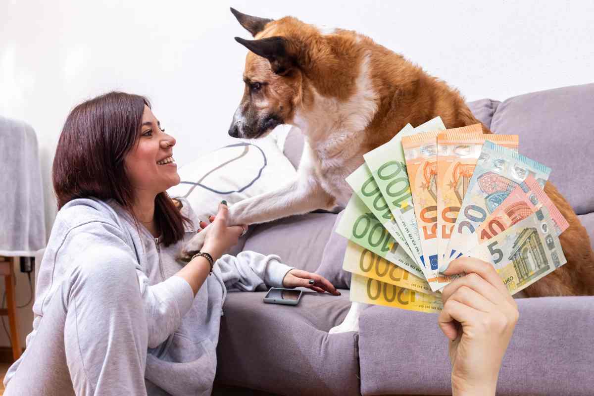 Rimborsi animali domestici, detrazione al 19% e fino a 300 euro