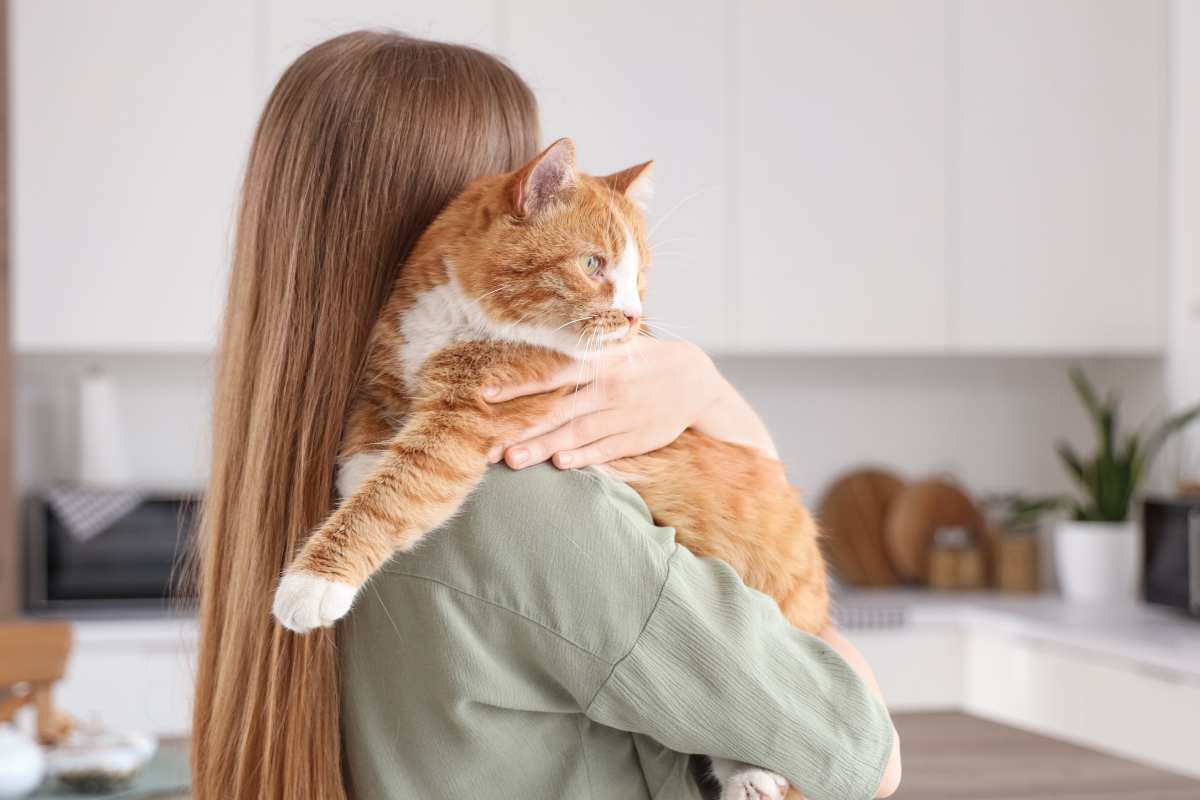 Rimborsi animali domestici, detrazione al 19% e fino a 300 euro