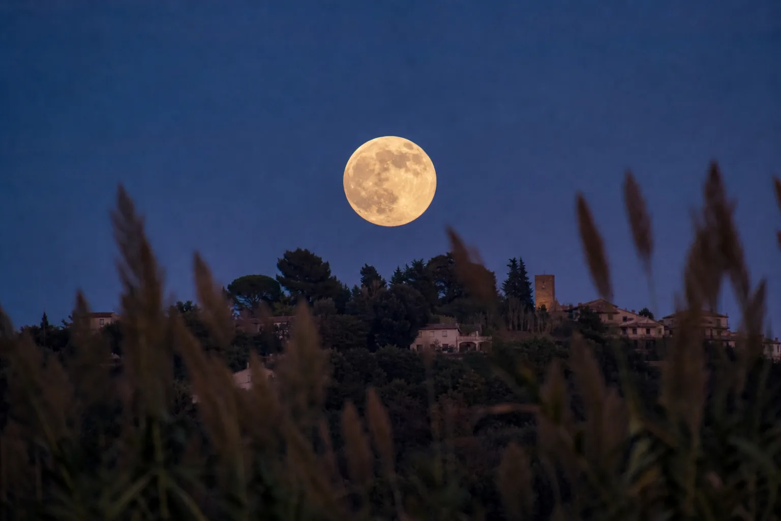 Luna del Cacciatore il 26 ottobre, lo spettacolo del cielo d'autunno